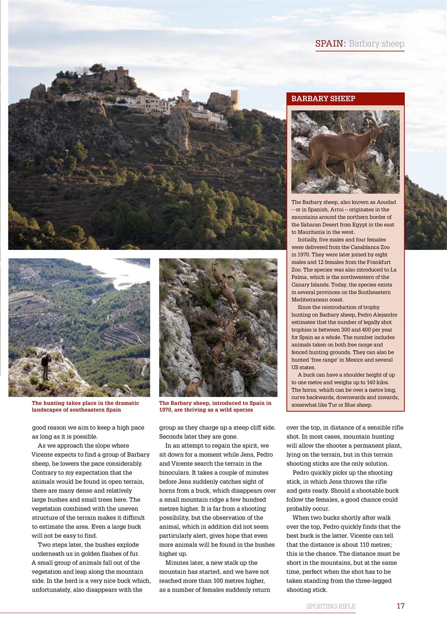 Sporting Rifle Preview Pages