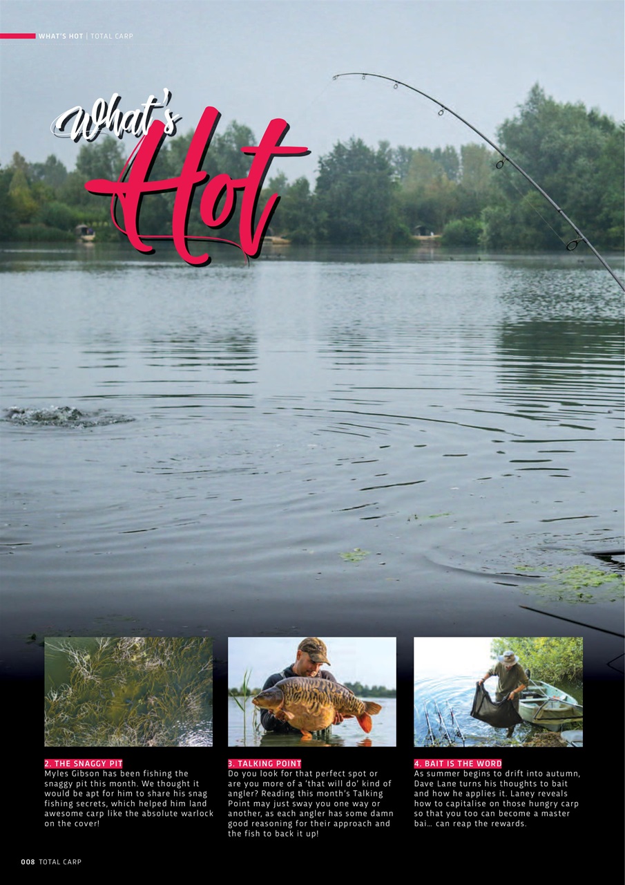 Total Carp Preview Pages