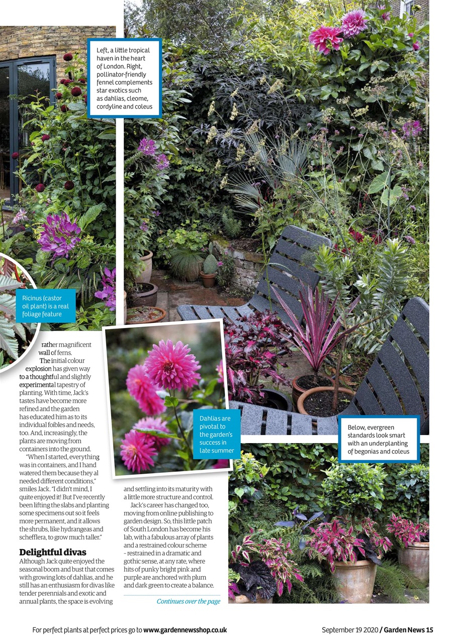 Garden News Preview Pages