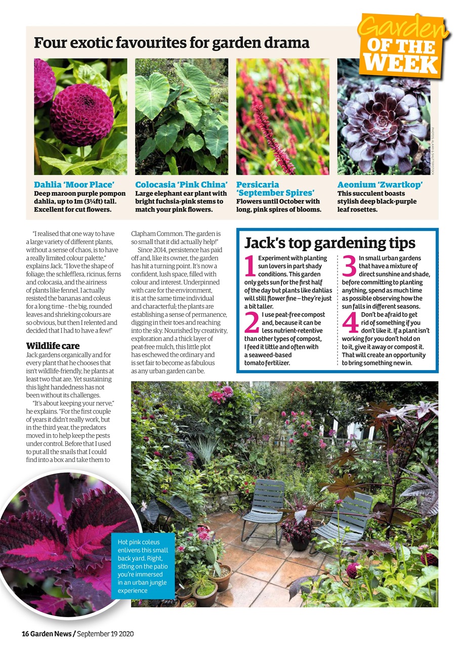 Garden News Preview Pages