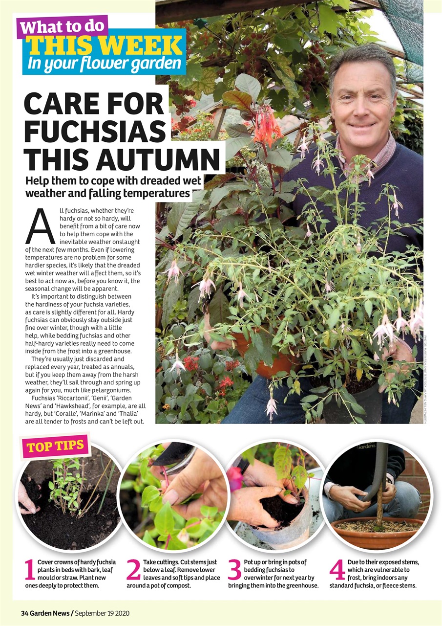 Garden News Preview Pages