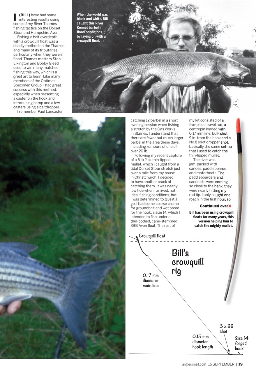 Anglers Mail Preview Pages
