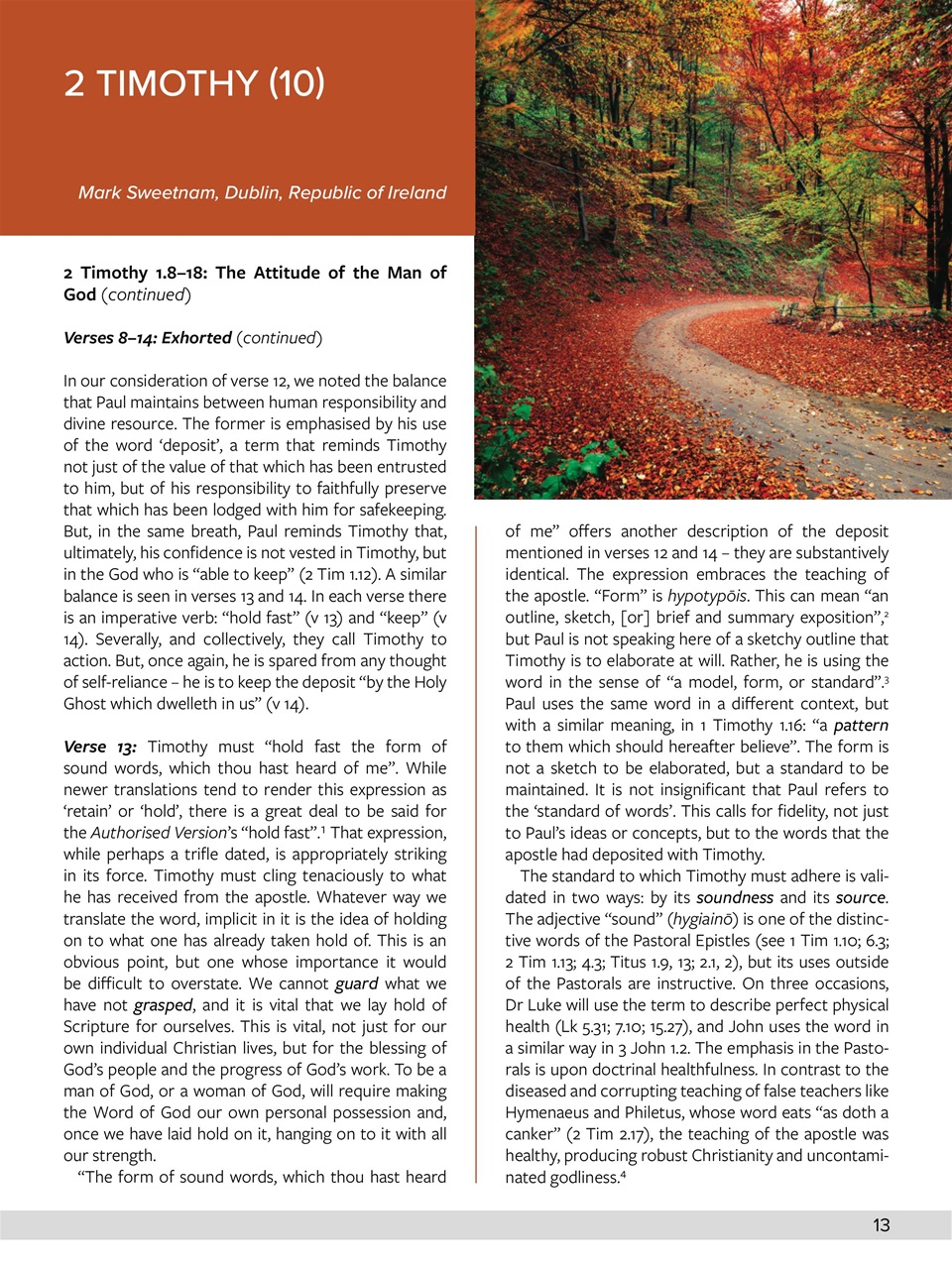 Believer Magazine Preview Pages