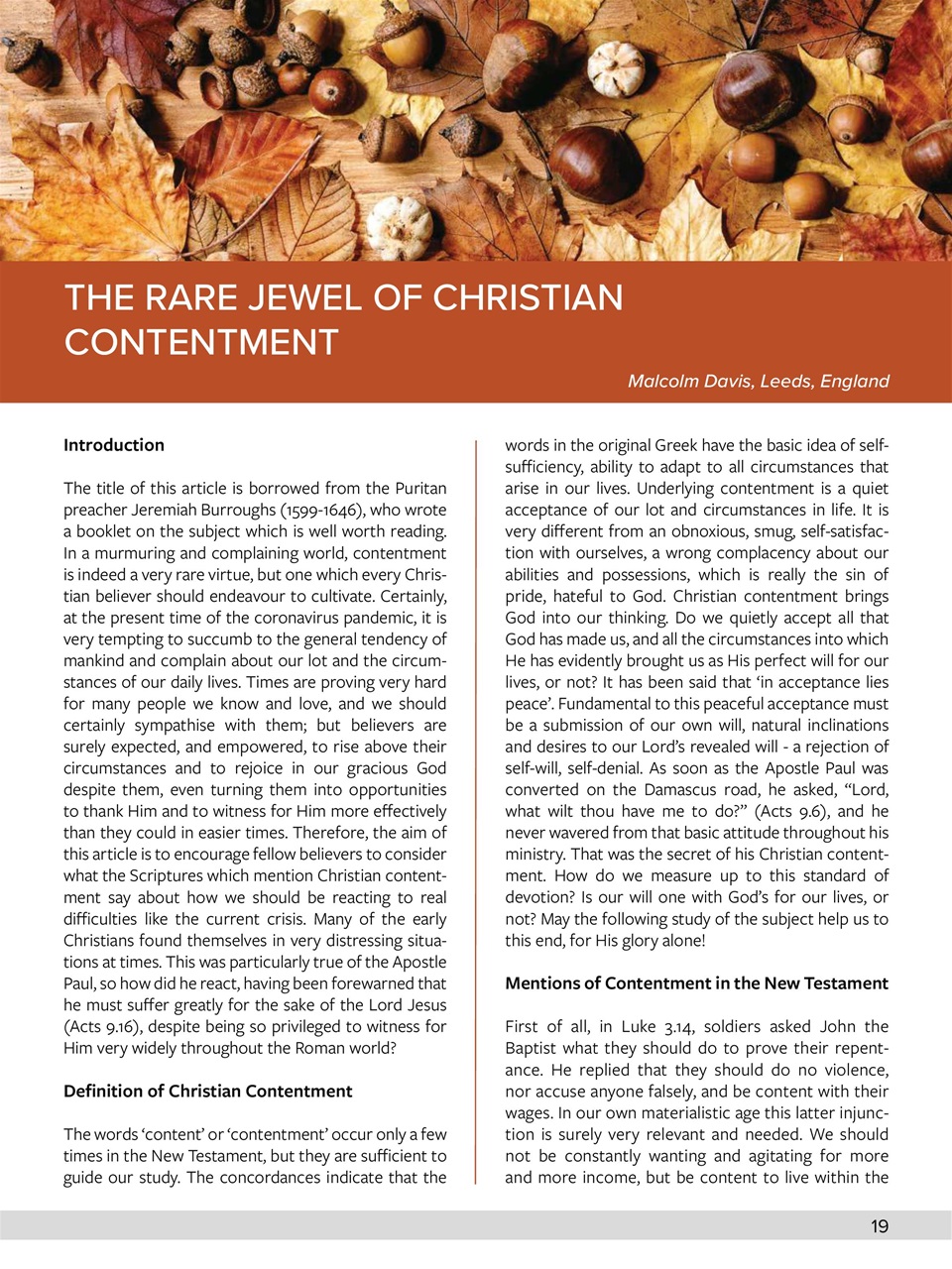 Believer Magazine Preview Pages