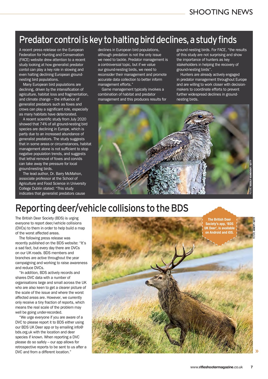 Rifle Shooter Preview Pages