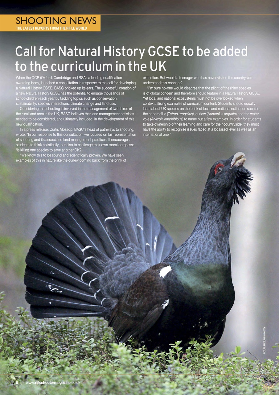 Rifle Shooter Preview Pages