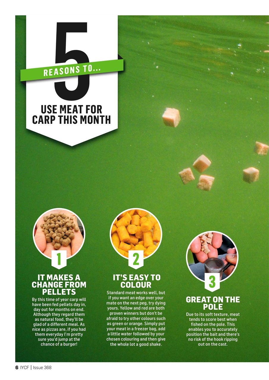 Improve Your Coarse Fishing Preview Pages