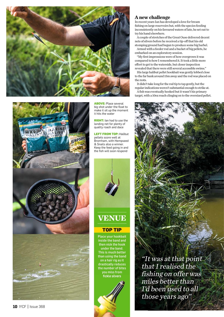 Improve Your Coarse Fishing Preview Pages