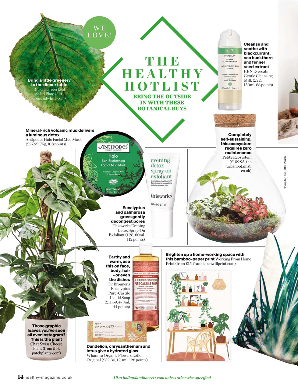 Healthy Magazine Preview Pages