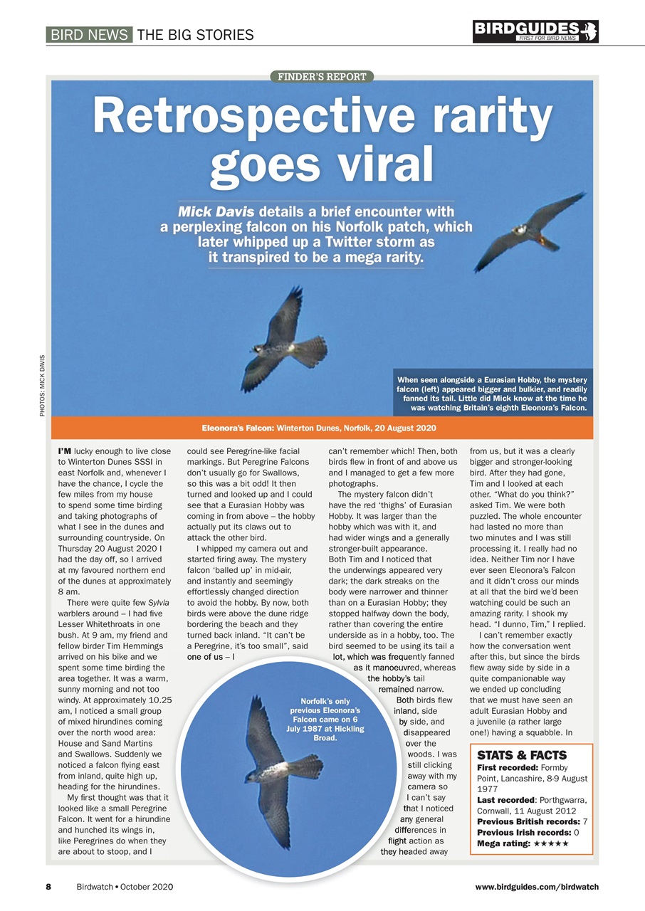 Birdwatch Magazine Preview Pages