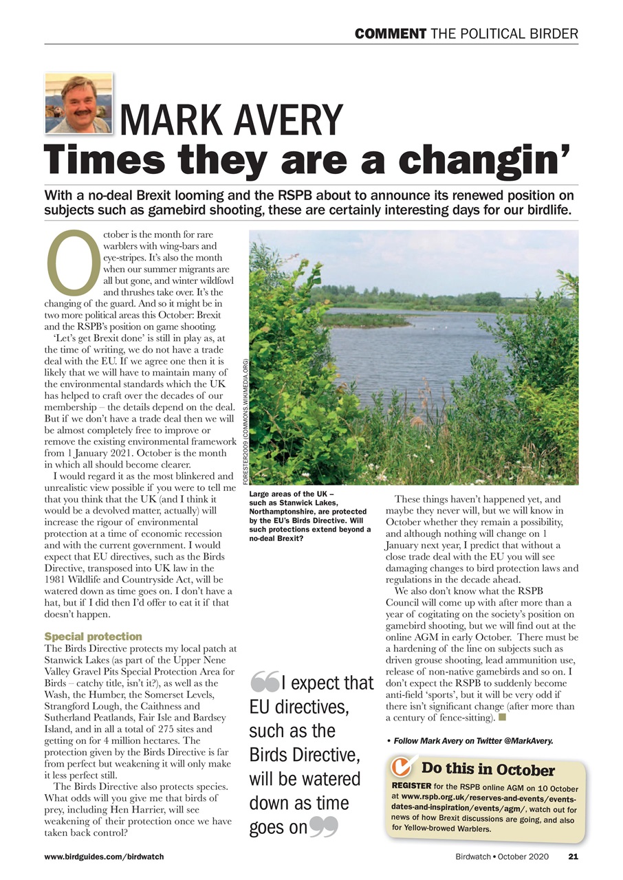 Birdwatch Magazine Preview Pages