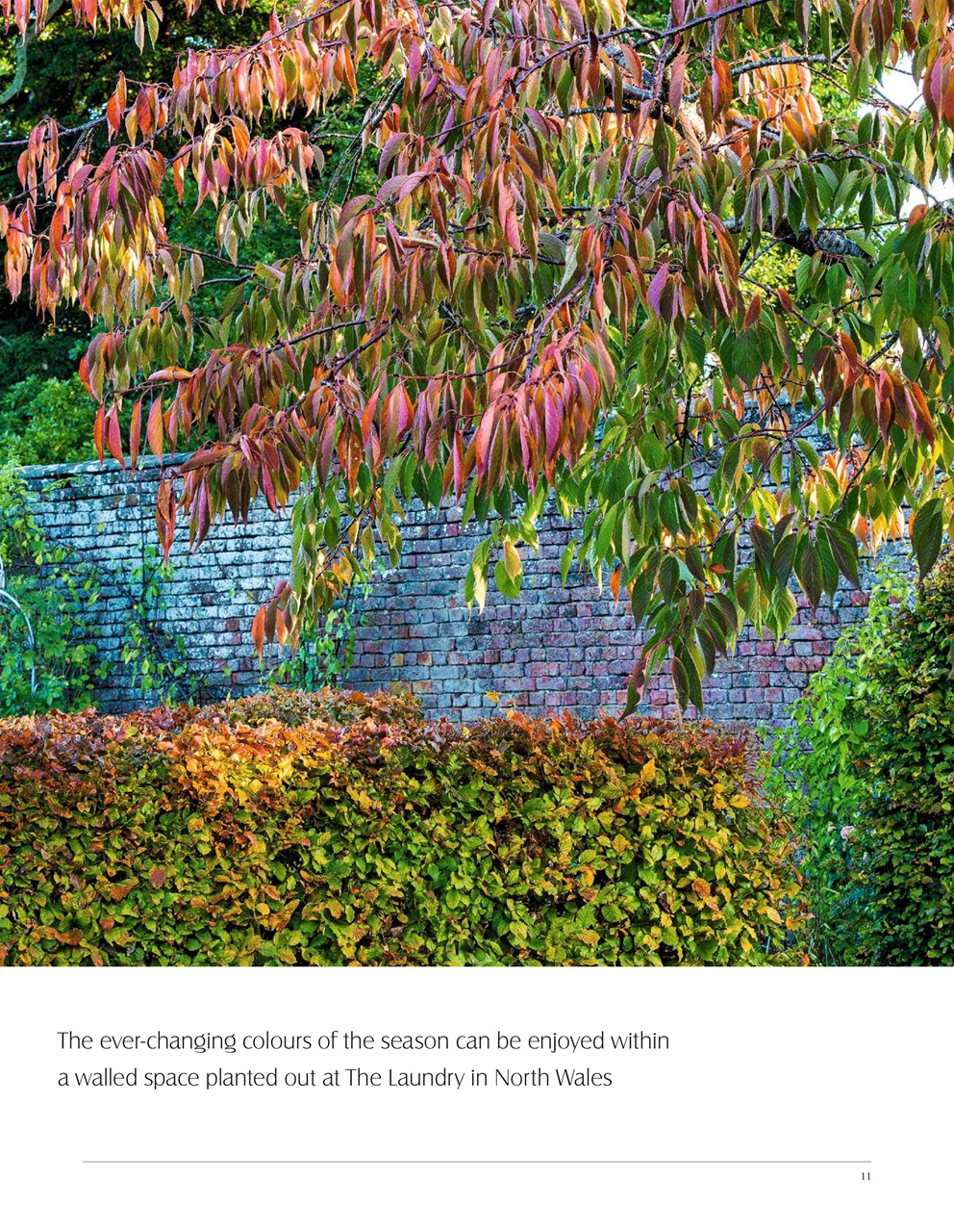 LandScape Preview Pages