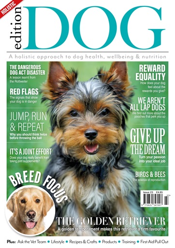 Edition Dog issue 