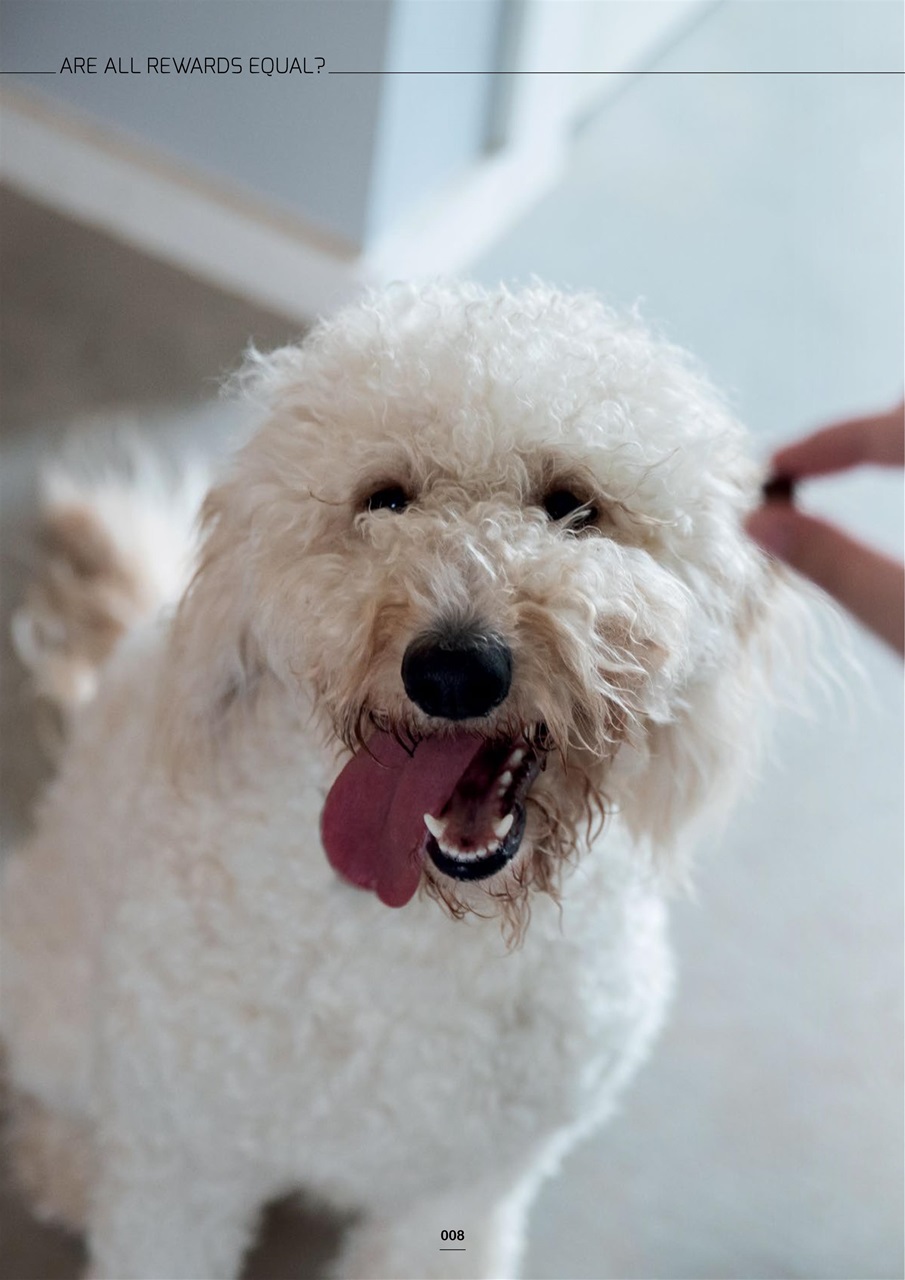 Edition Dog Preview Pages