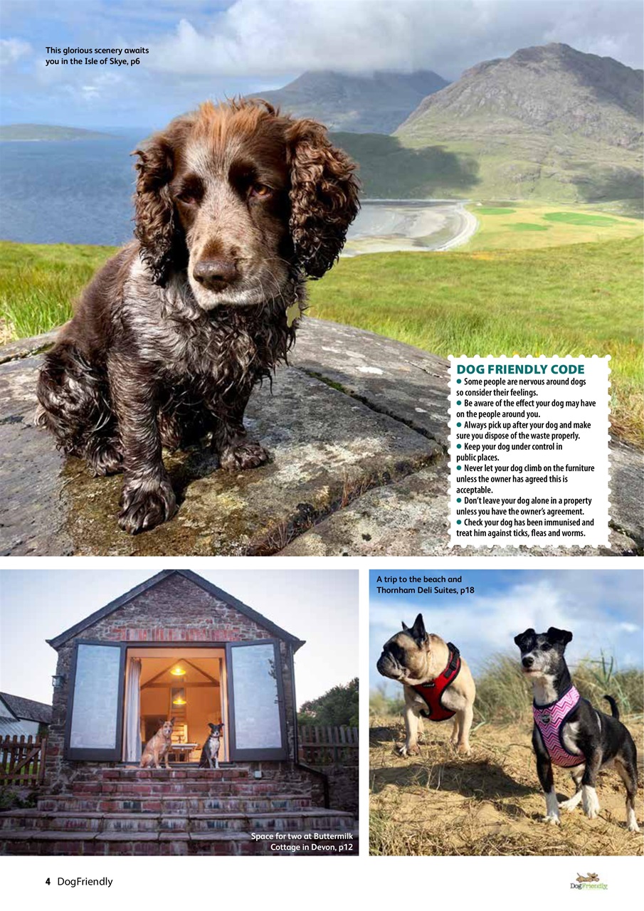 Dog Friendly Preview Pages