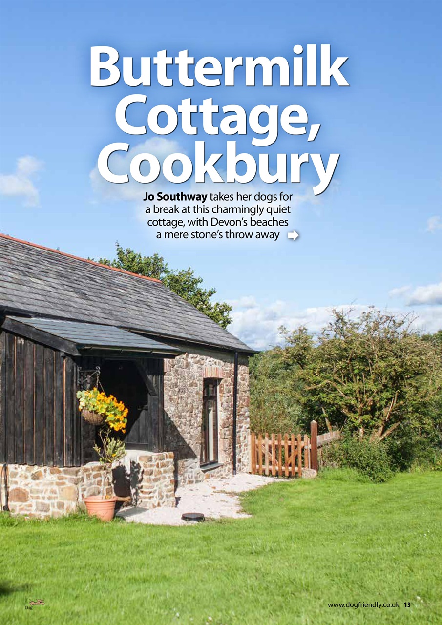 Dog Friendly Preview Pages