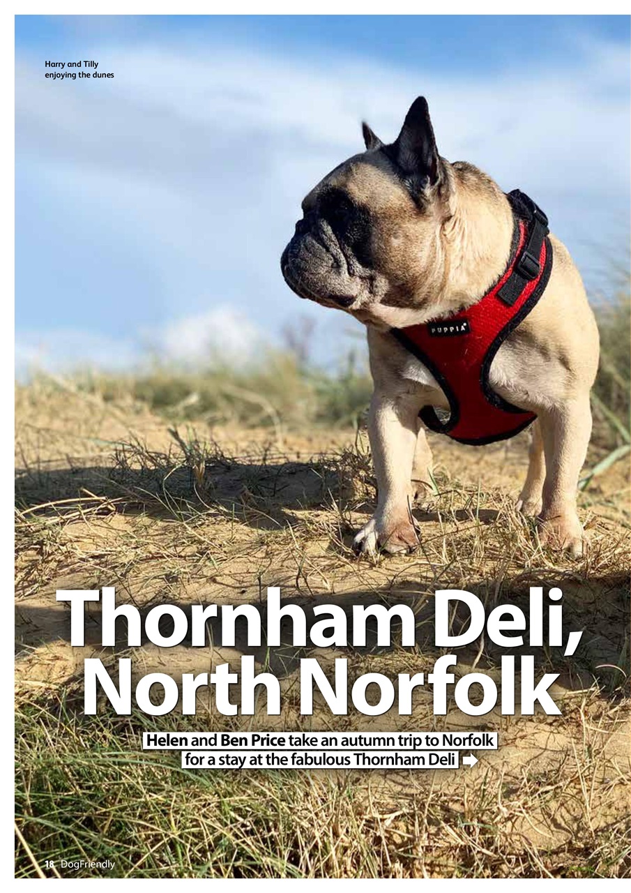 Dog Friendly Preview Pages