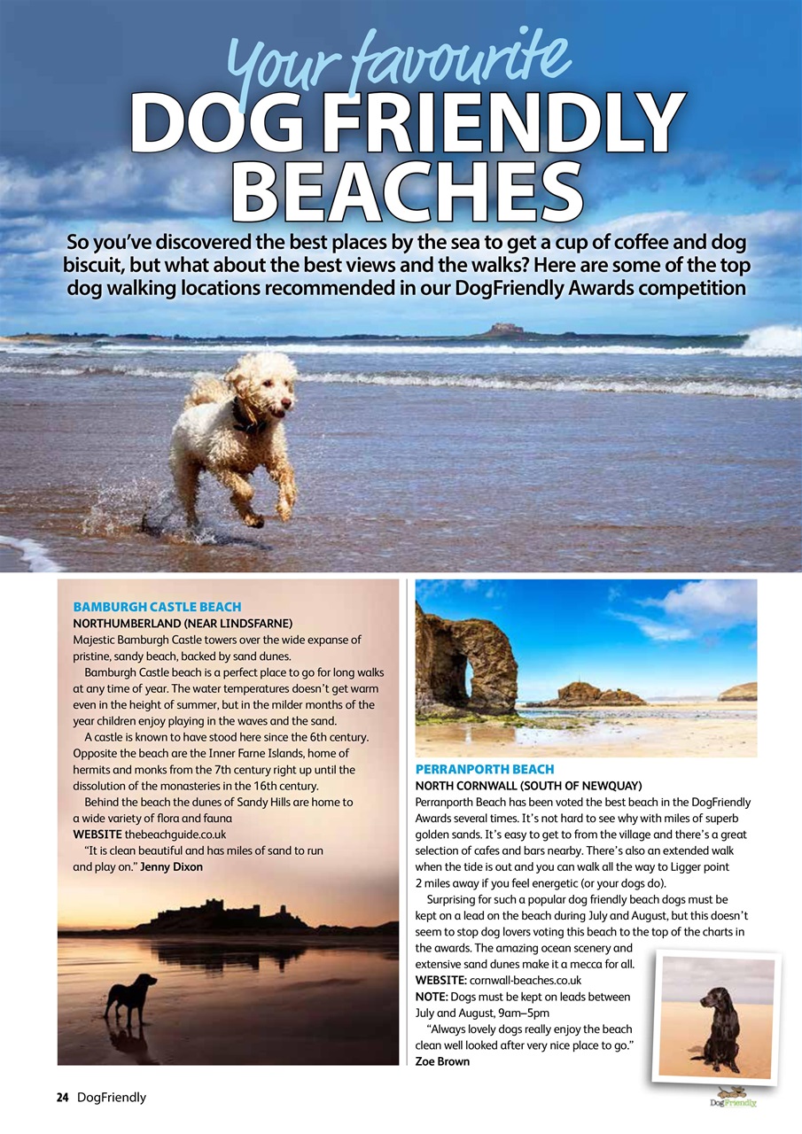 Dog Friendly Preview Pages