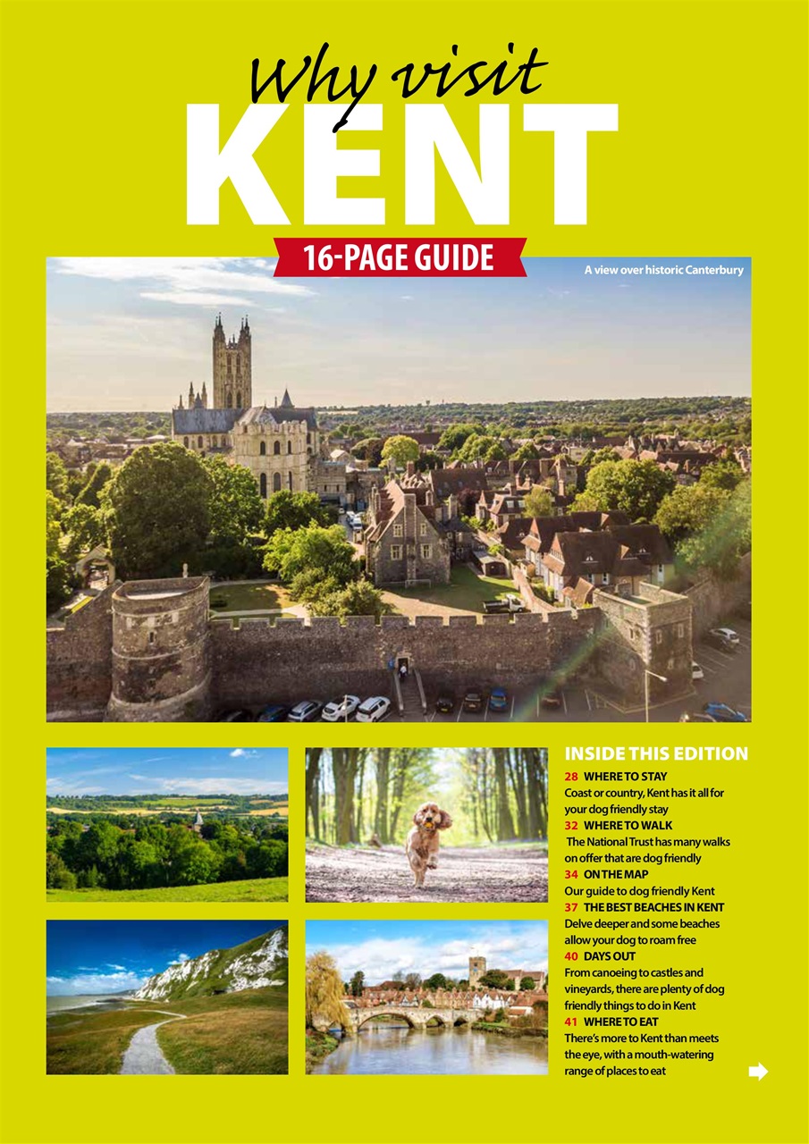 Dog Friendly Preview Pages