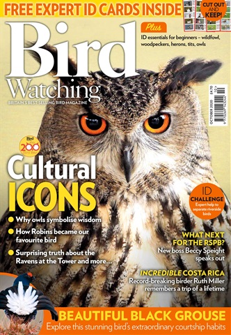 Bird Watching issue Oct 20