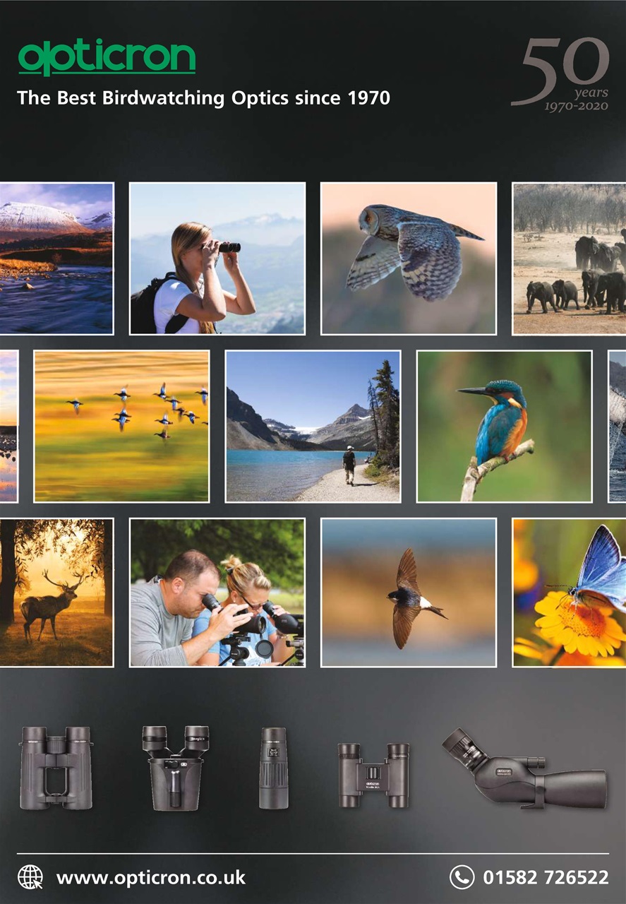 Bird Watching Preview Pages