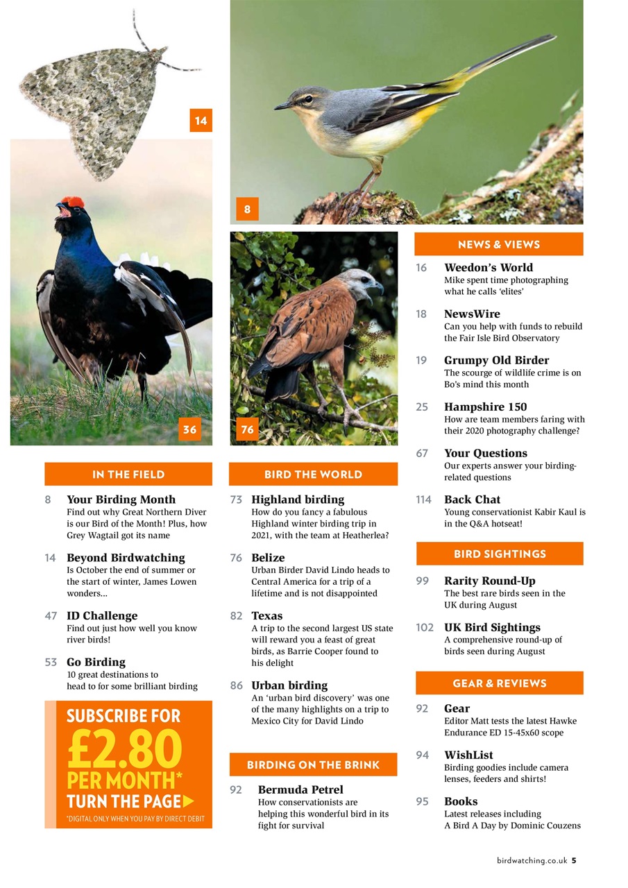 Bird Watching Preview Pages