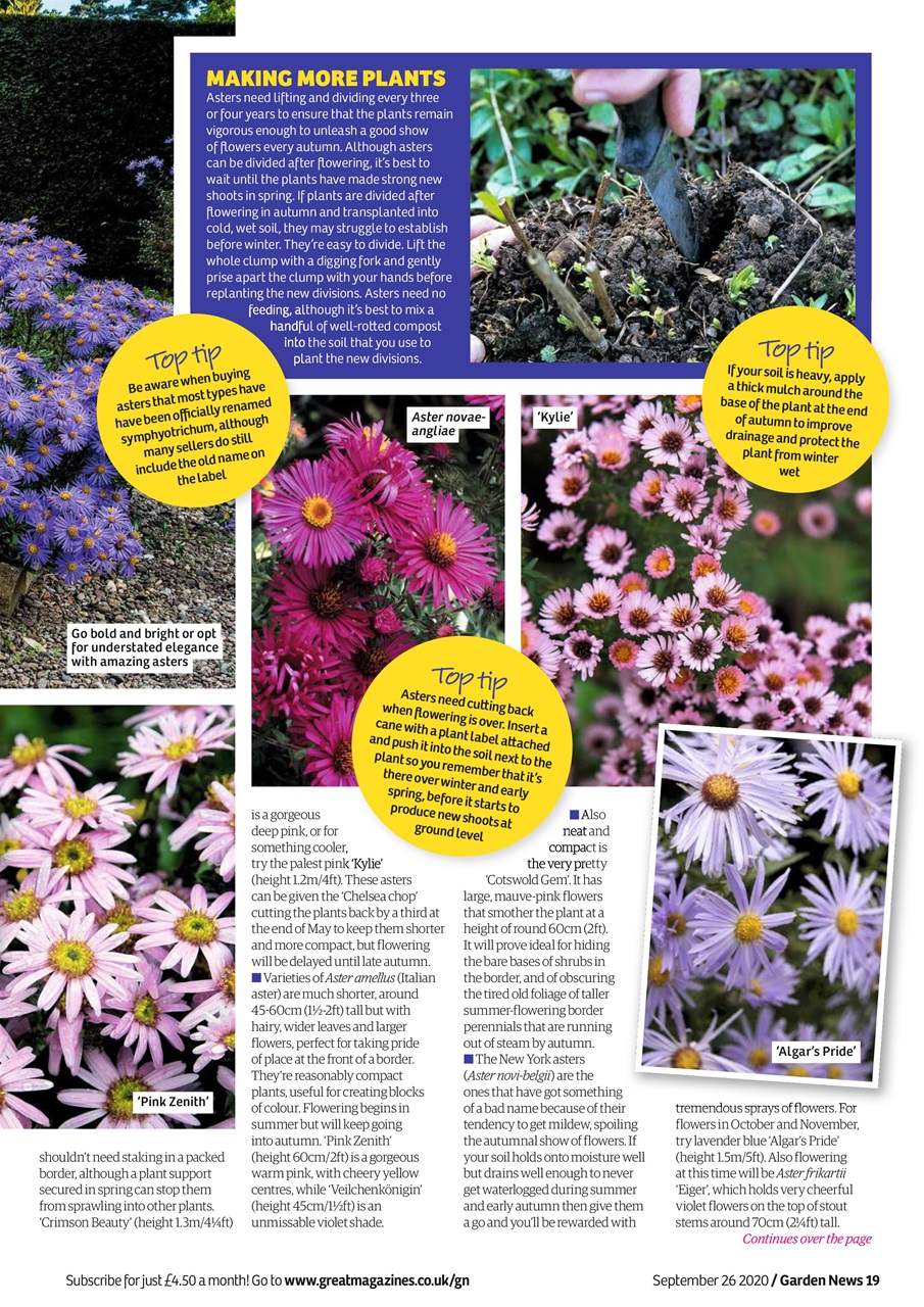 Garden News Preview Pages