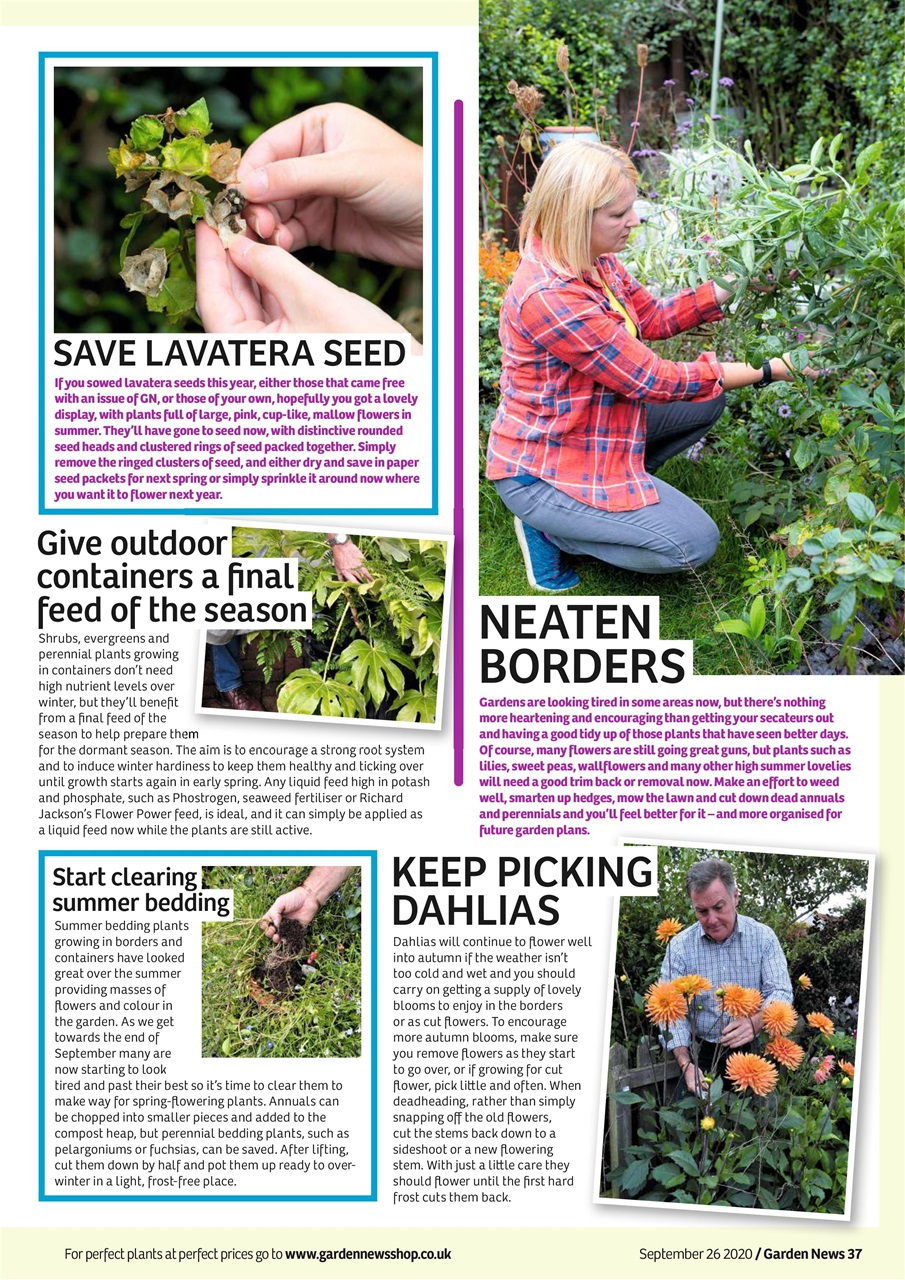 Garden News Preview Pages
