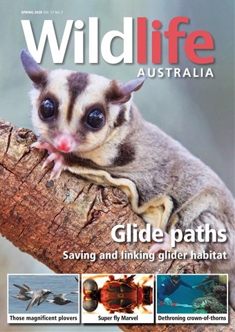 Wildlife Australia issue Wildlife Australia Magazine Spring 2020