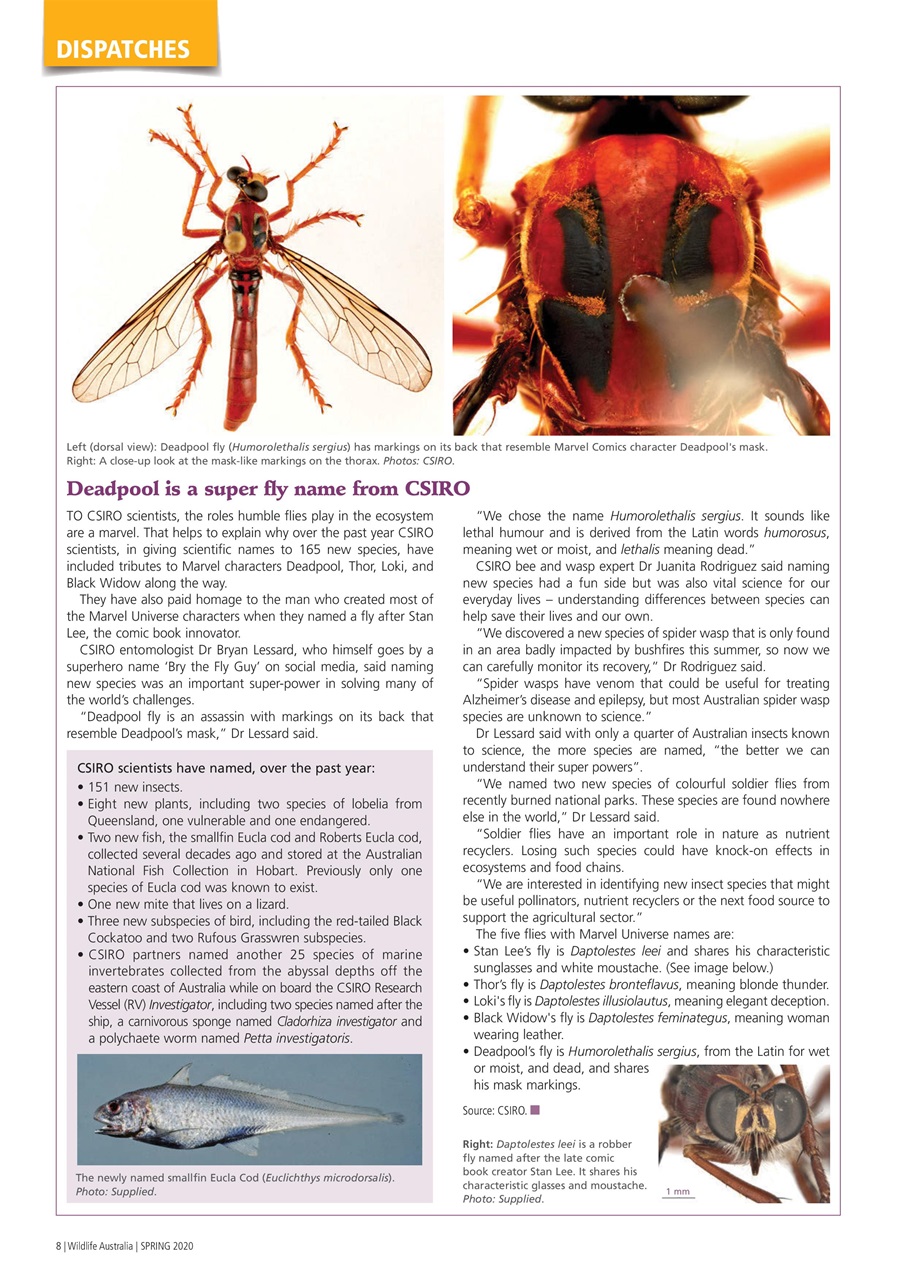 Wildlife Australia Preview Pages