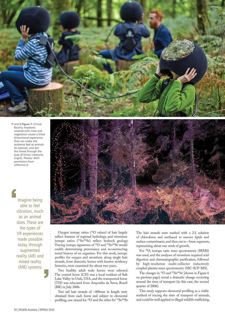 Wildlife Australia Preview Pages