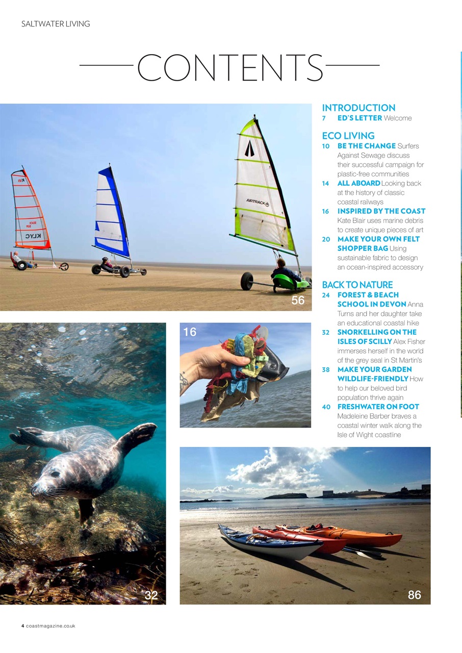 Saltwater Living Preview Pages
