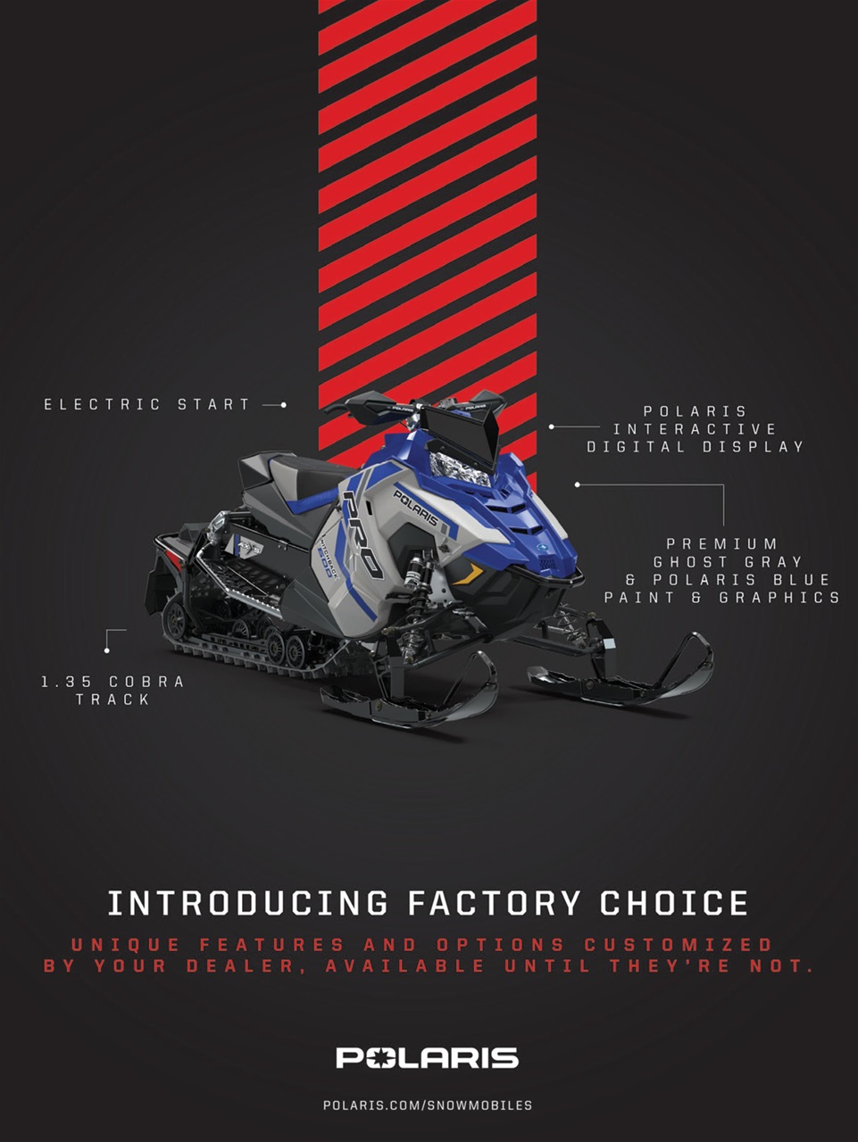 SnowGoer Preview Pages