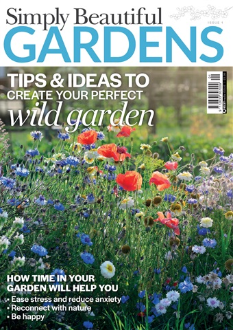 Issue 1 issue Issue 1