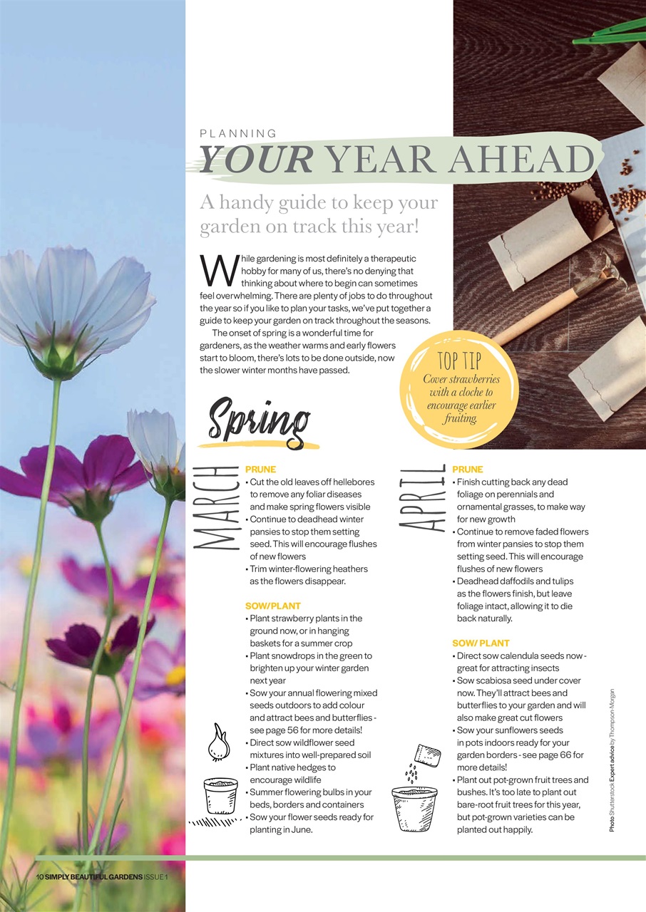 Simply Beautiful Gardens Preview Pages