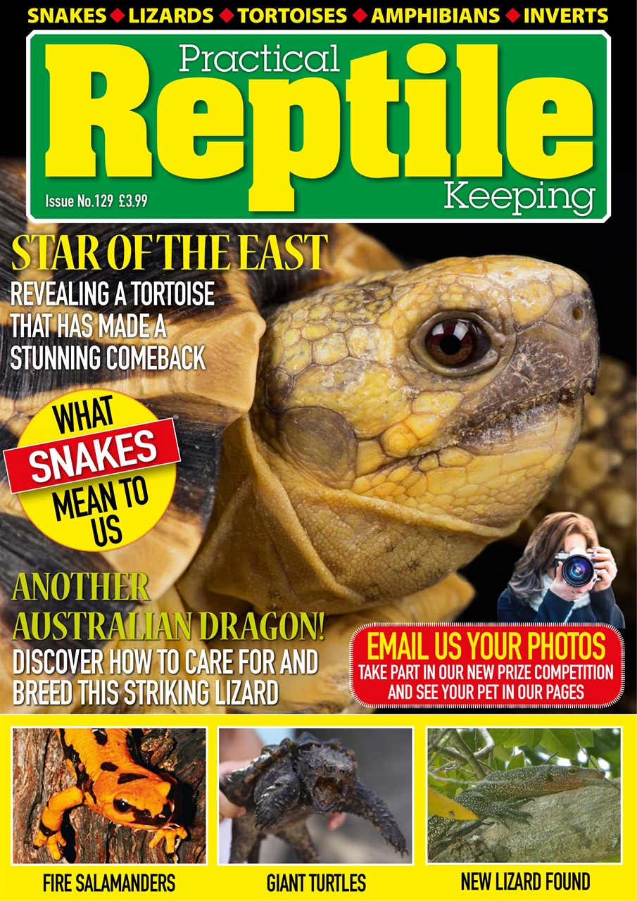 Practical Reptile Keeping Preview Pages