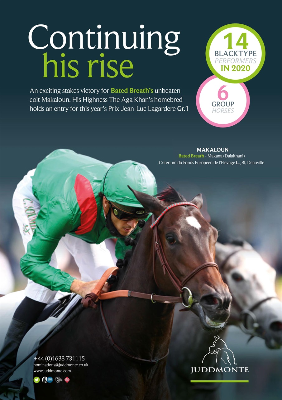 The Owner Breeder Preview Pages