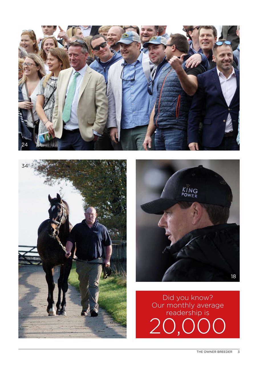 The Owner Breeder Preview Pages