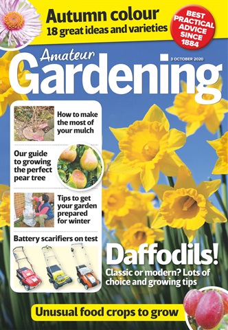 Amateur Gardening issue 3-Oct-2020