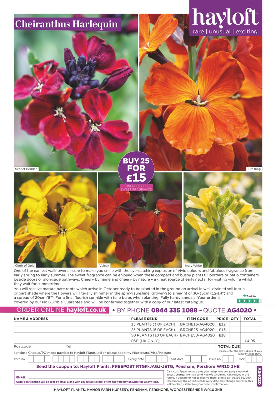 Amateur Gardening Preview Pages