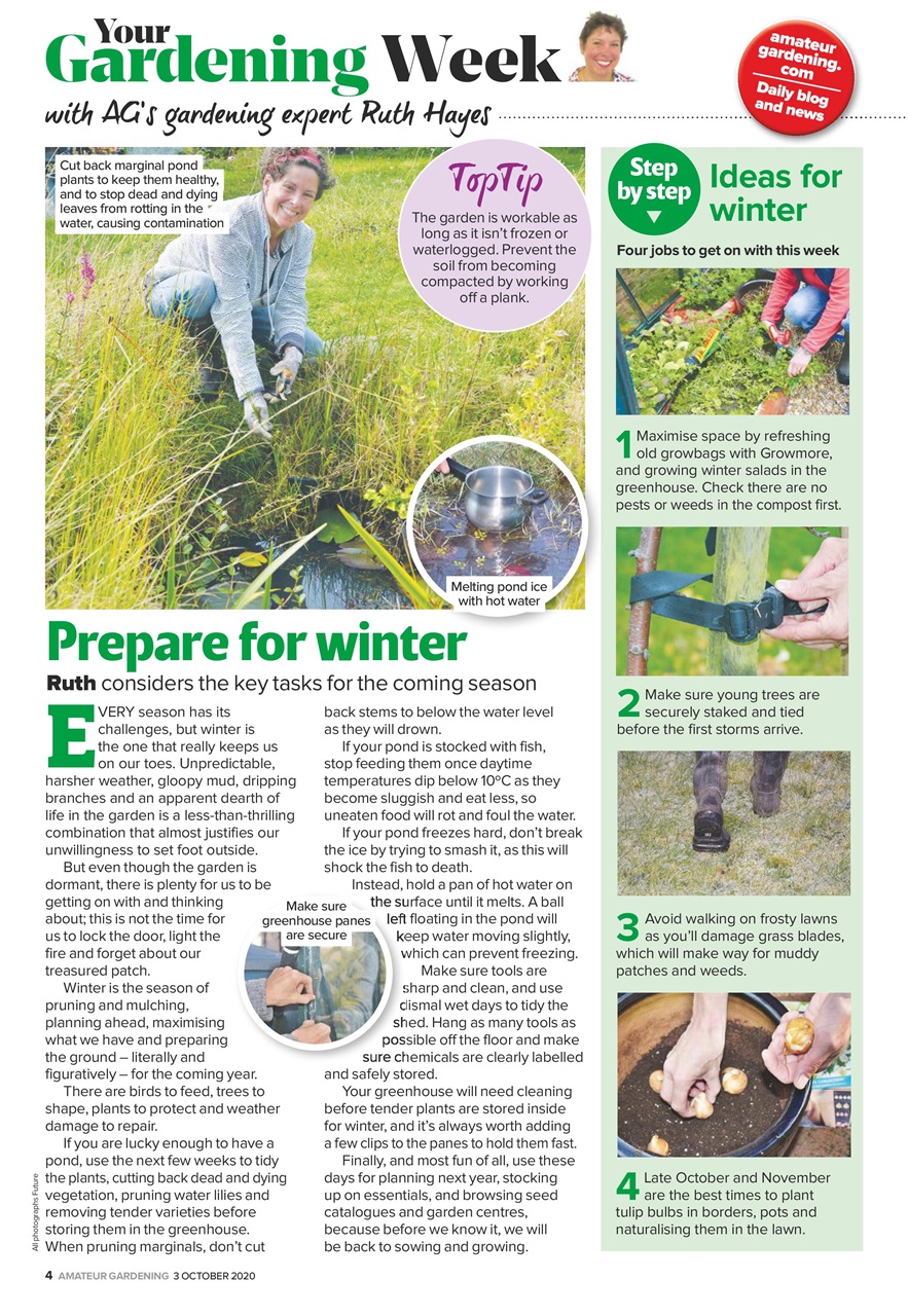 Amateur Gardening Preview Pages