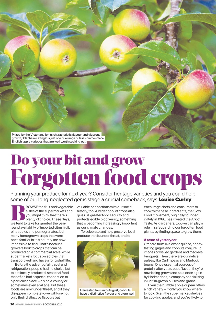 Amateur Gardening Preview Pages