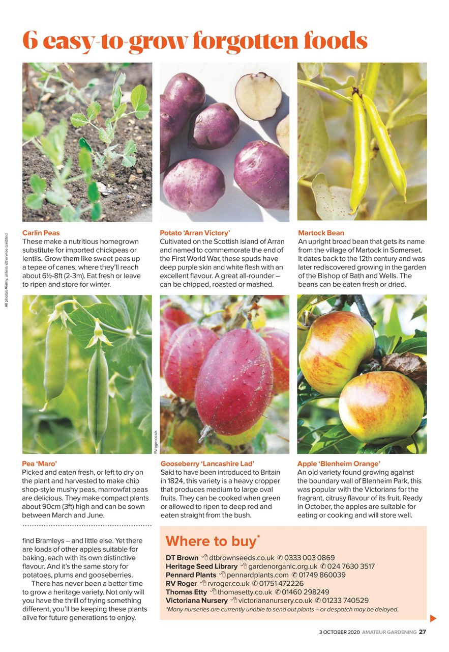 Amateur Gardening Preview Pages