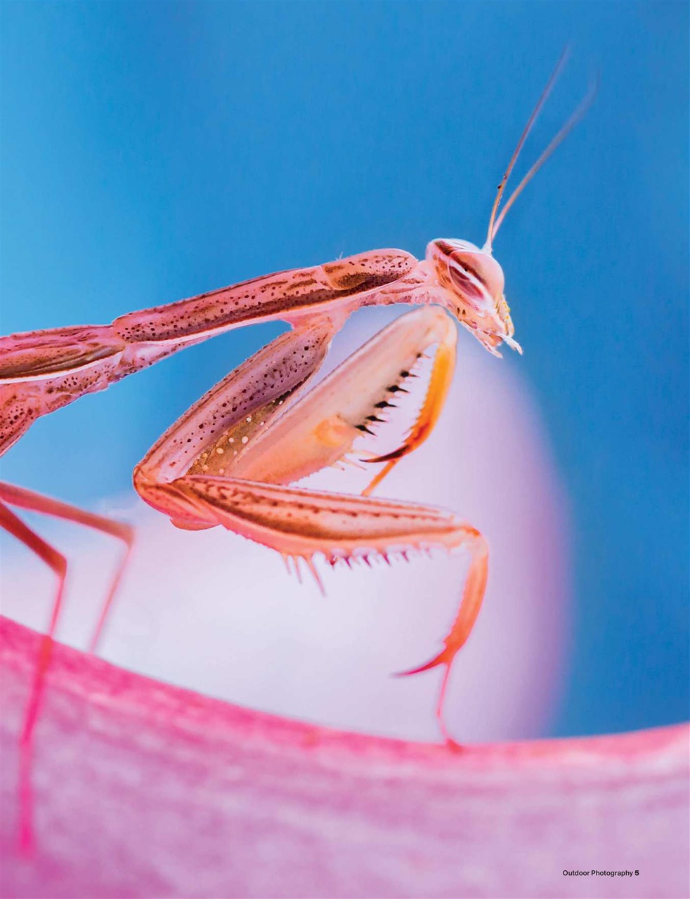 Outdoor Photography Preview Pages