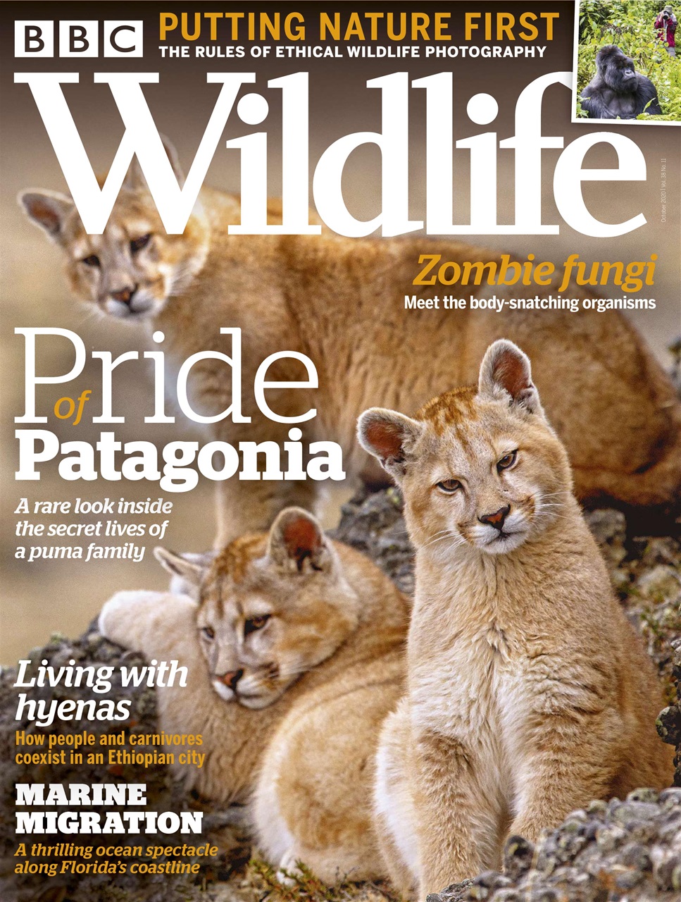 BBC Wildlife Magazine Preview Pages