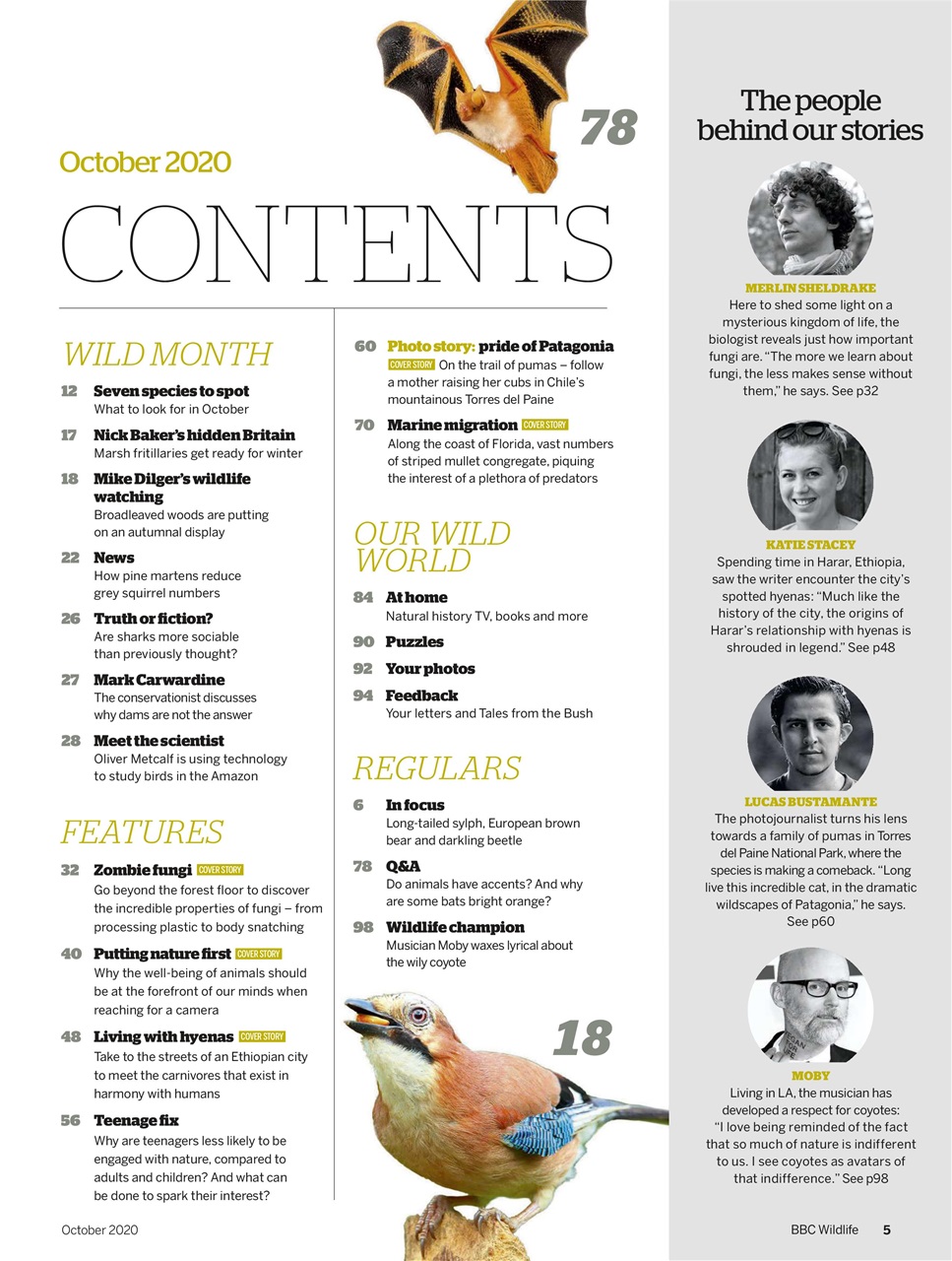 BBC Wildlife Magazine Preview Pages