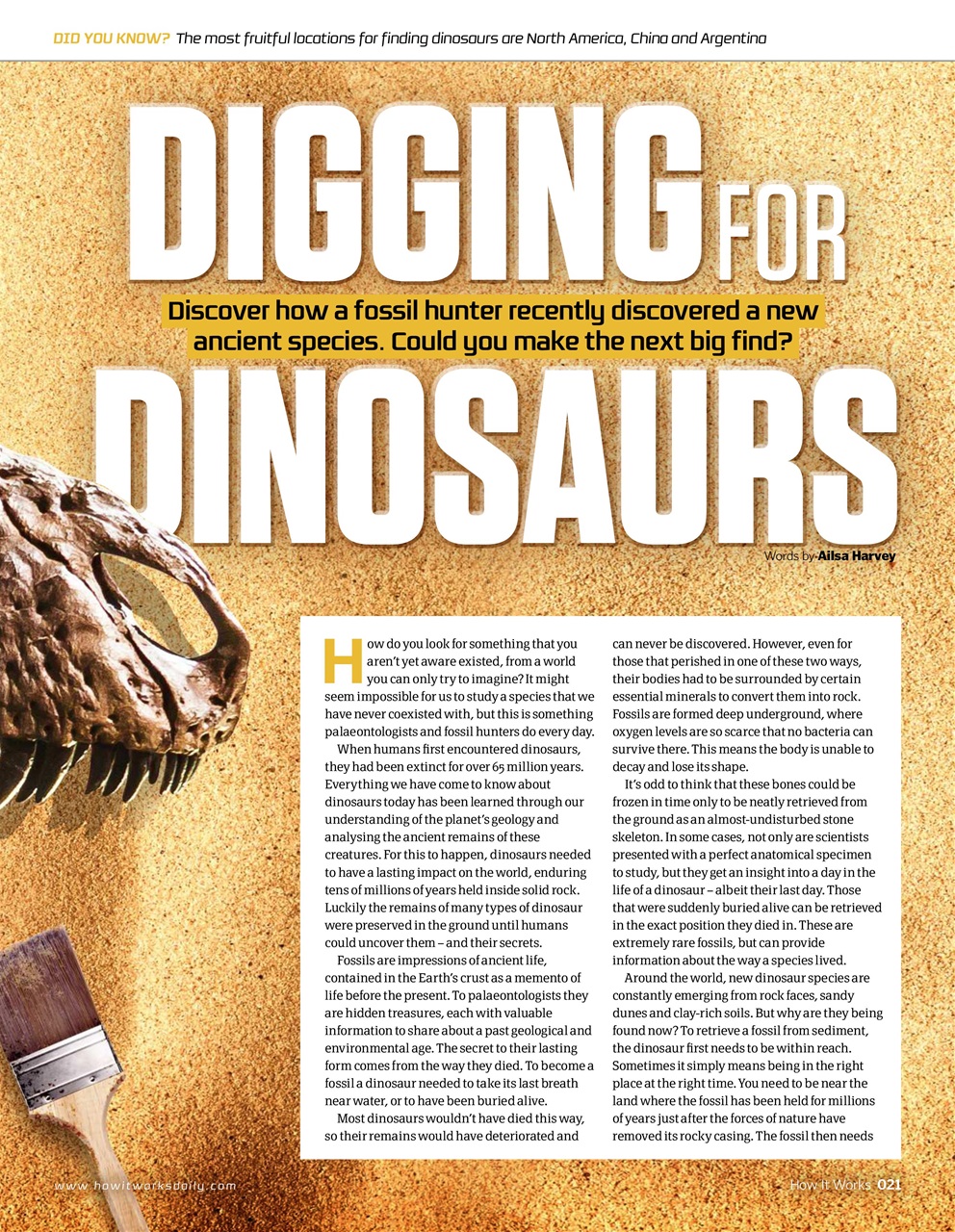 How It Works Preview Pages