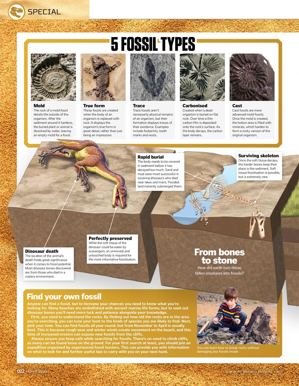 How It Works Preview Pages