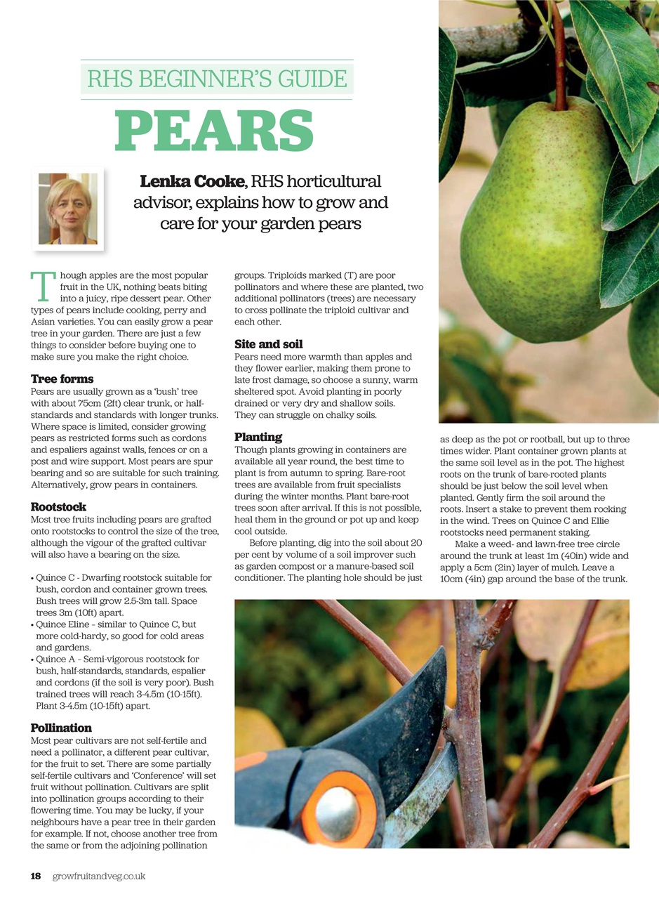 Grow Your Own Preview Pages