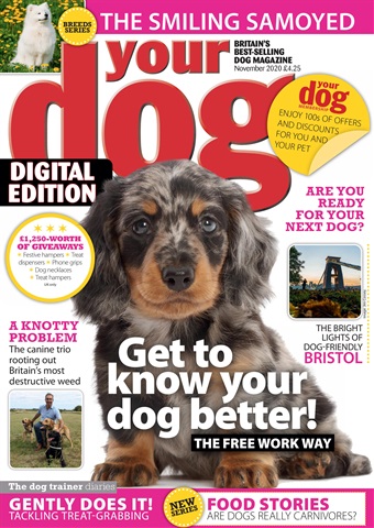 Your Dog issue Your Dog Magazine November 2020